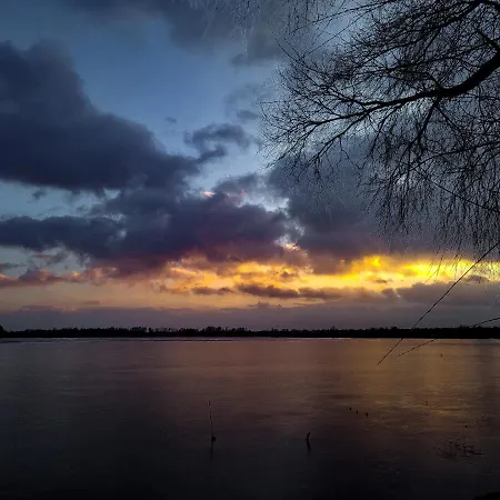 Dwie Sosny Mazury אלק