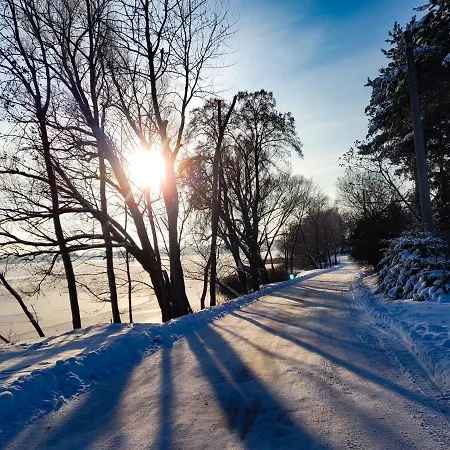 Dwie Sosny Mazury