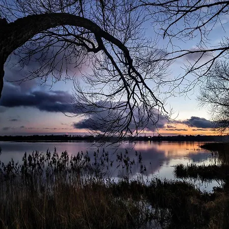 Dwie Sosny Mazury * אלק