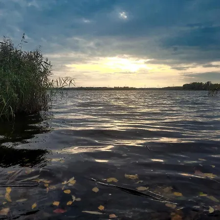Dwie Sosny Mazury אלק