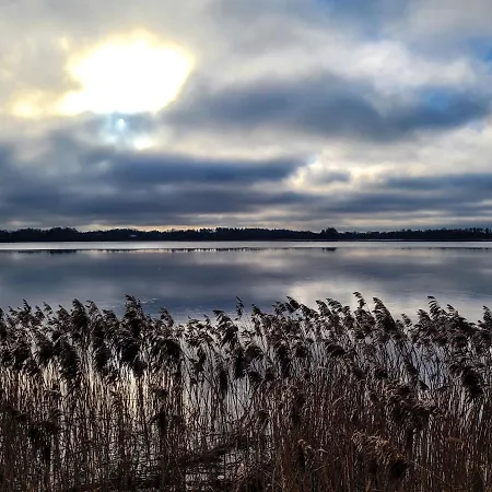 Dwie Sosny Mazury *